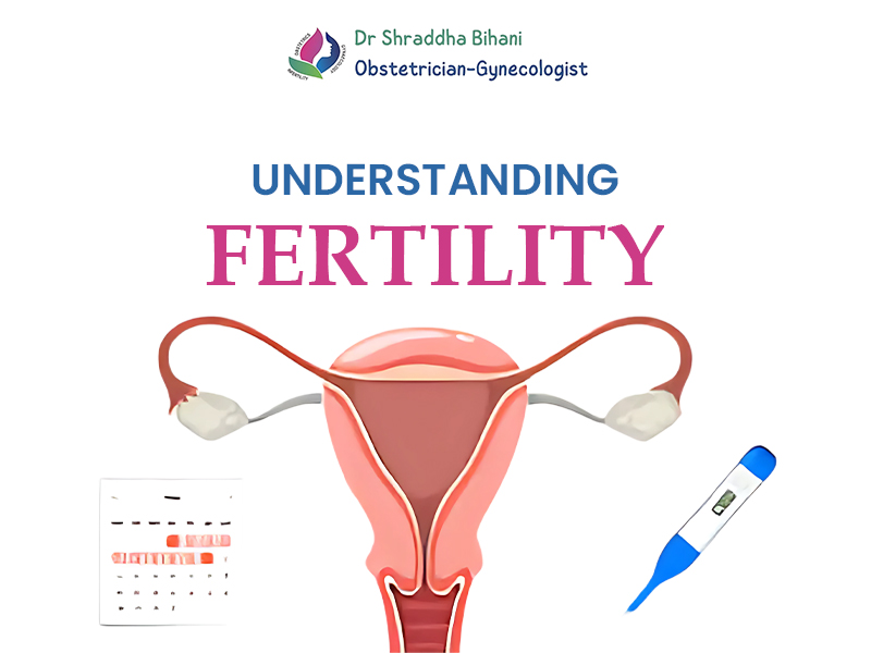 Diagram of the female reproductive system with a calendar and thermometer, illustrating fertility awareness.