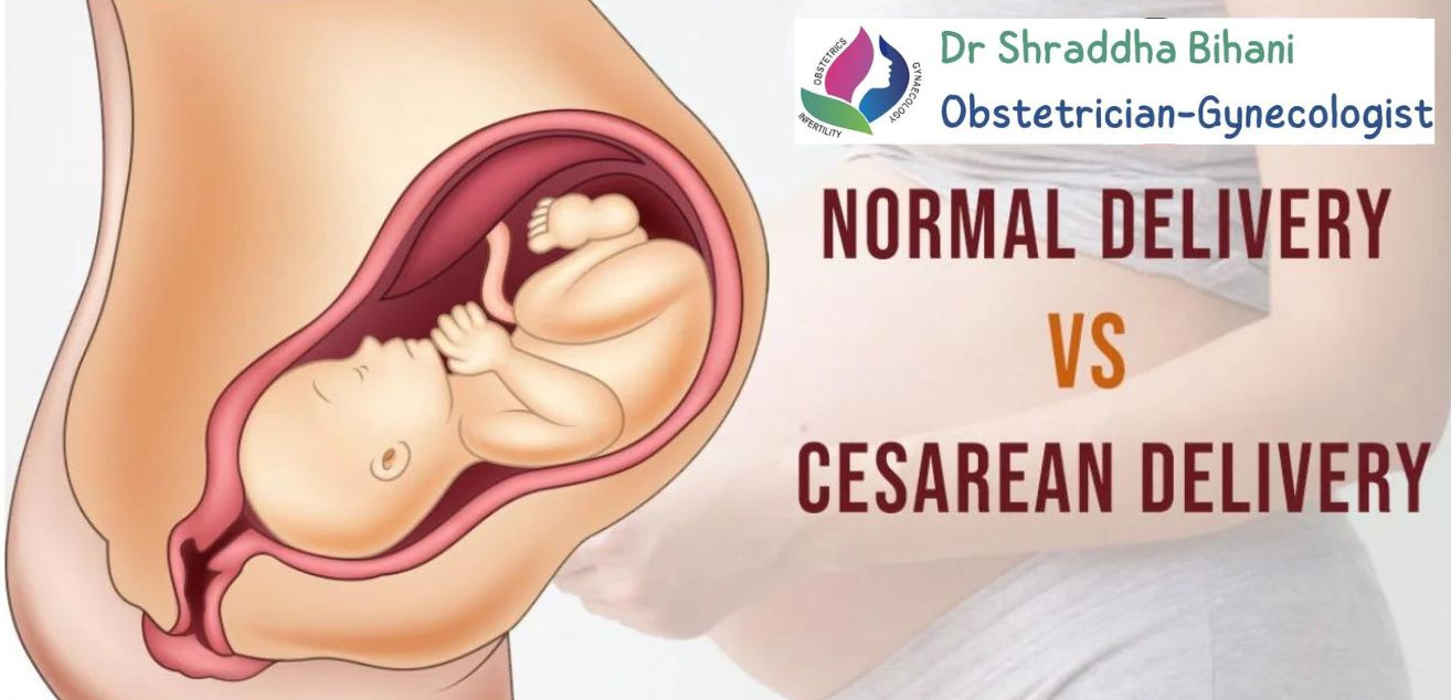 Illustration of a baby in the womb comparing normal delivery and cesarean delivery, highlighting services by Dr. Shraddha Bihani in Indore.
